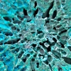recycling-world_detail_017